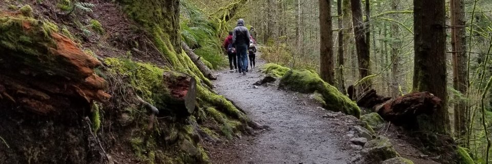 Seattle 🇵🇸 🇮🇷 banner