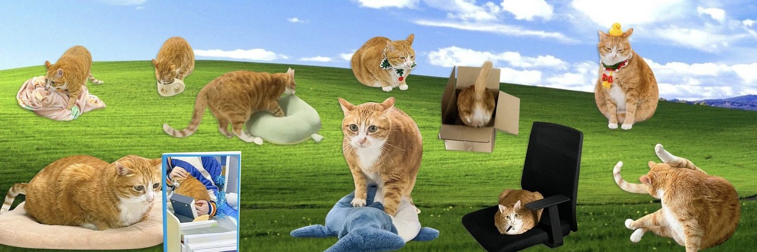 猿子 的个人资料封面