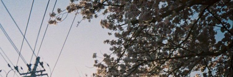 chiiiiima_'s profile banner image