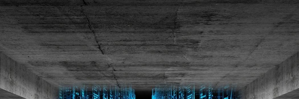 Diego Guillén banner