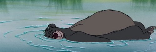 BaliBalloooo's profile banner image