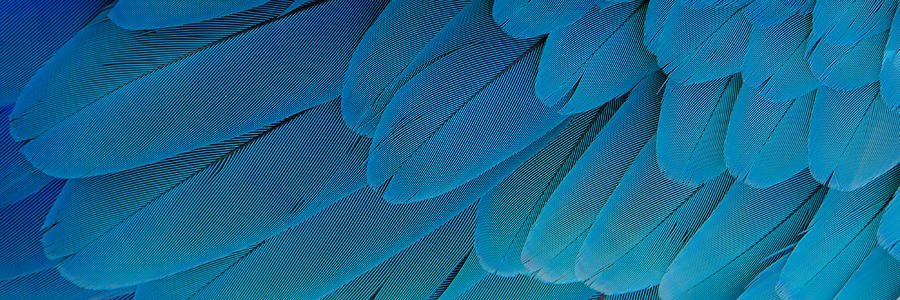 Blue Marketing (@Blue_Detroit) / Posts / X