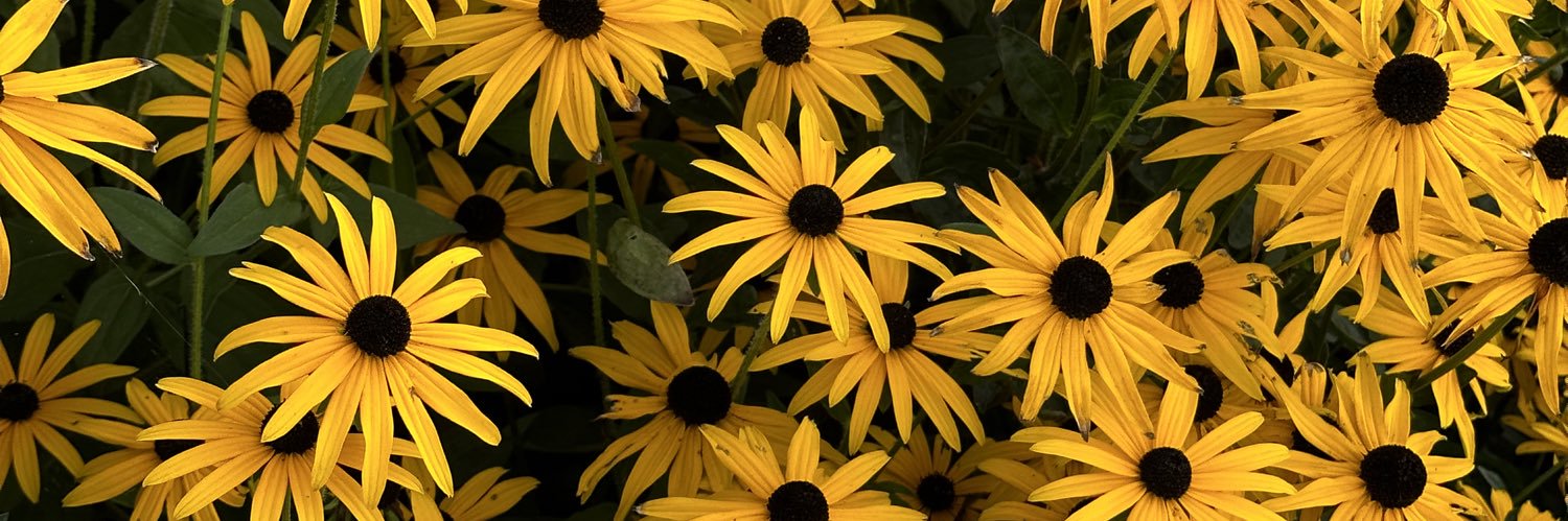 anneliesversch's profile banner image