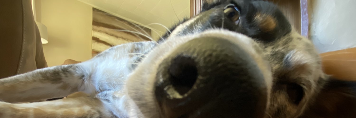Oleeeses's profile banner image