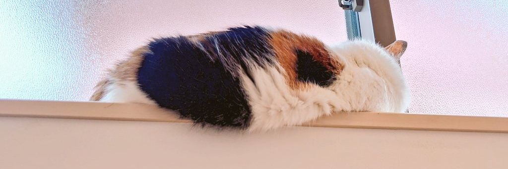 モナミ banner
