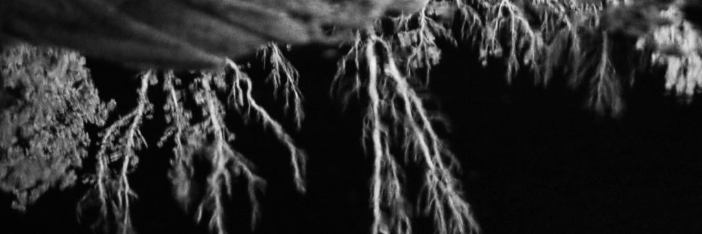 danandersonpics's profile banner image