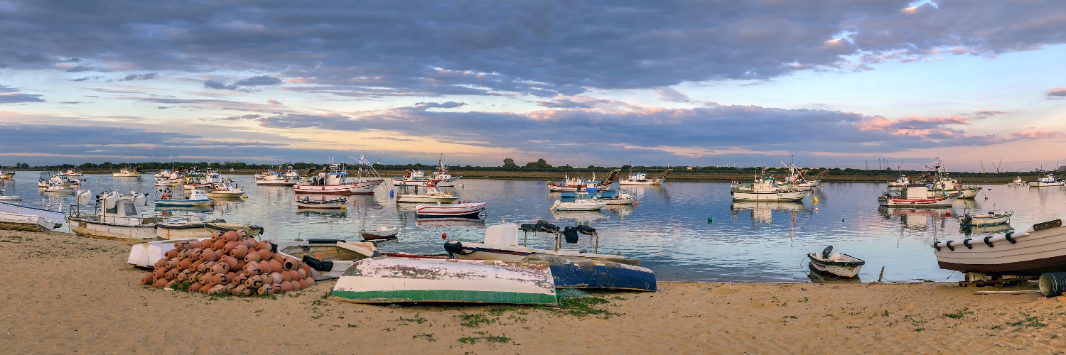 Sustainable Fisheries and Communities Trust banner
