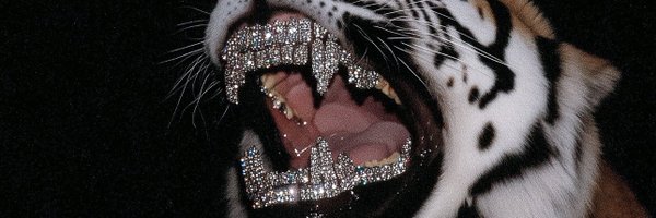 aliougs Profile Banner