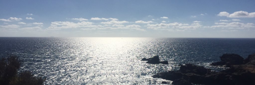 elena bernard banner