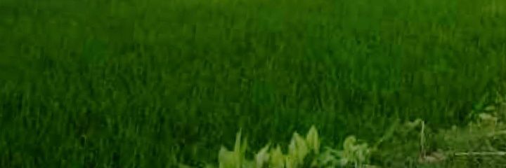uzzalsarka002's profile banner image