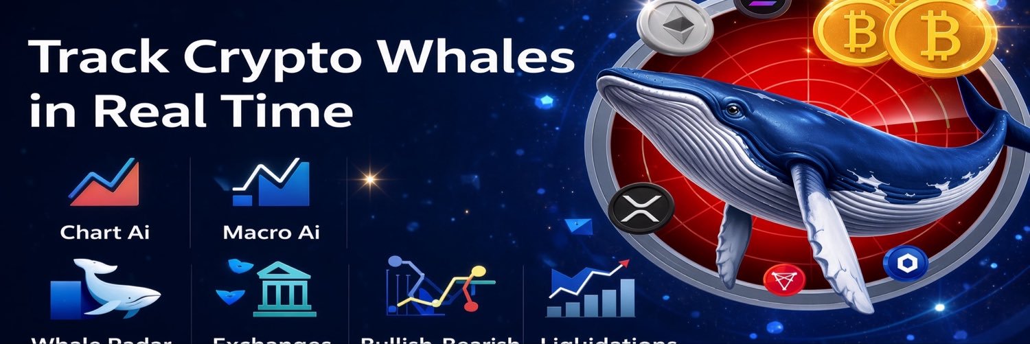 WhaleRadarForX's profile banner image