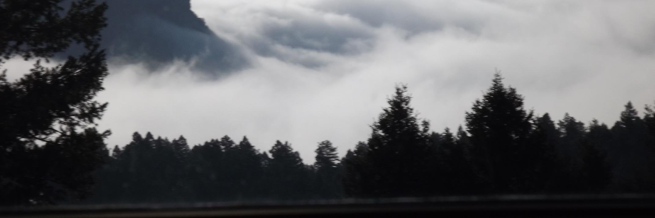 cyndyemitchell's profile banner image
