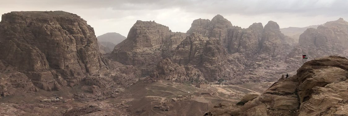 Purity test enforcer 🇵🇸 banner