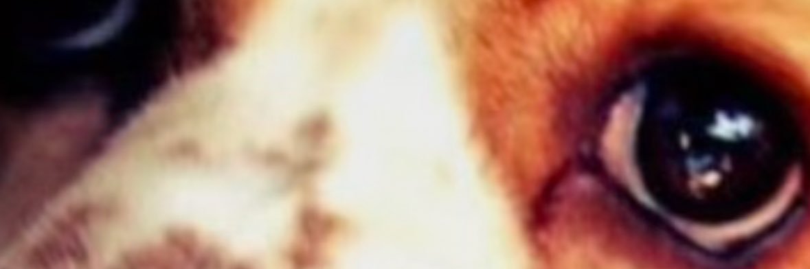 excalivur_7's profile banner image