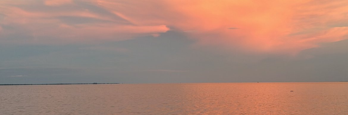 EDWVN's profile banner image
