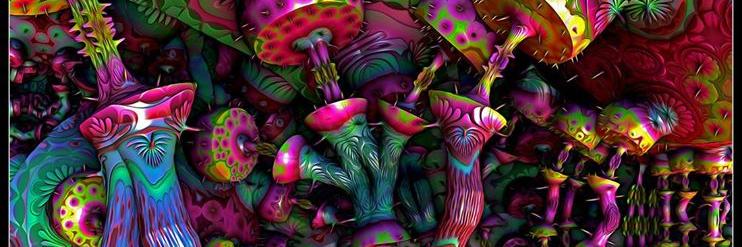 magic_flores's profile banner image