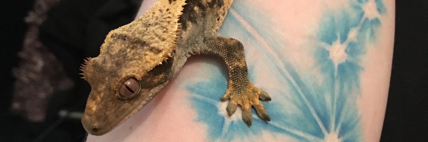 eloisescott98's profile banner image