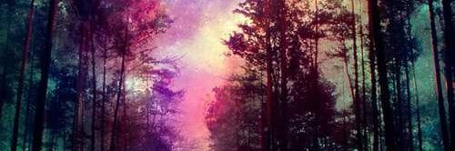 bieha8's profile banner image