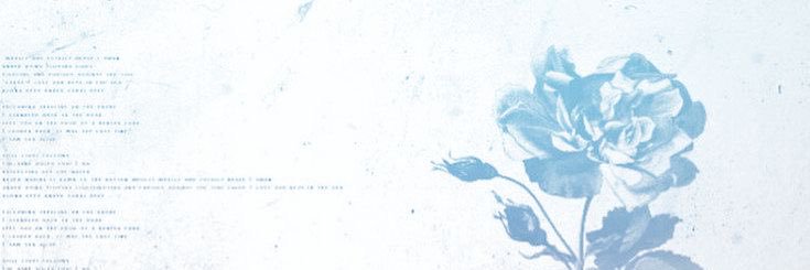 #1 jay walker fan banner