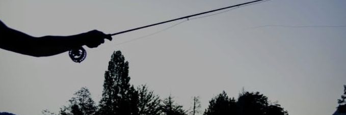 p_nchh's profile banner image