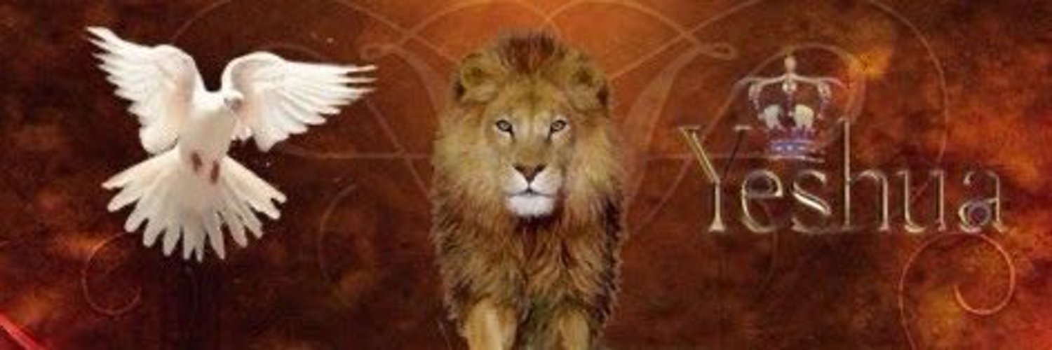 Lioness Deb Profile Banner