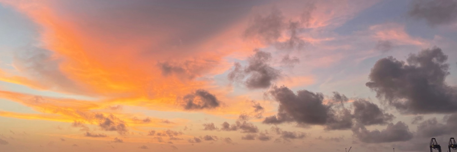 Elizabeth Patteril banner