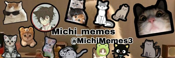 ⚠︎Este michi⚠︎ banner