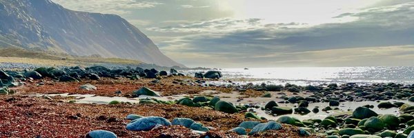 Mervifiske1 Profile Banner