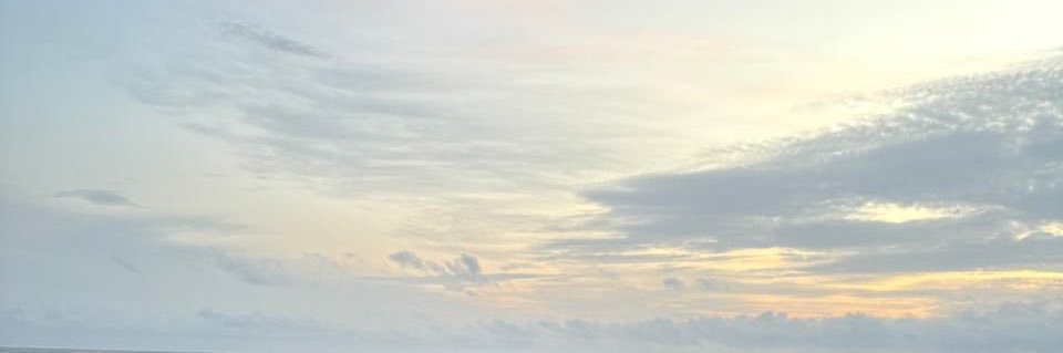 jabinaj's profile banner image