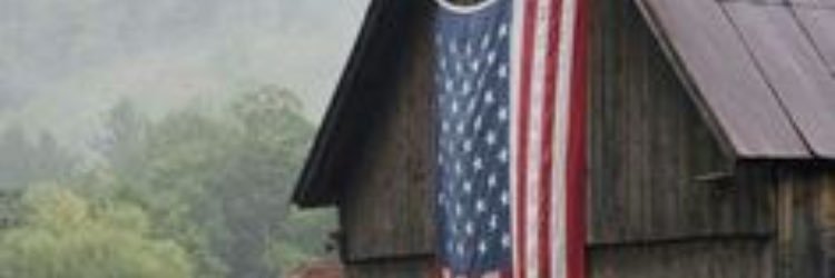 _clarylinda's profile banner image