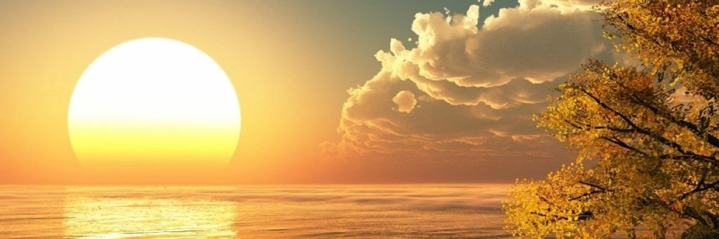 vanithaallimuth's profile banner image