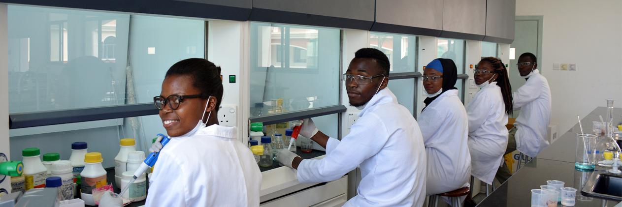 Seeding Labs banner
