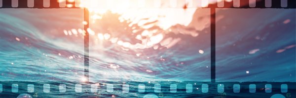 JellyfishDAO Profile Banner