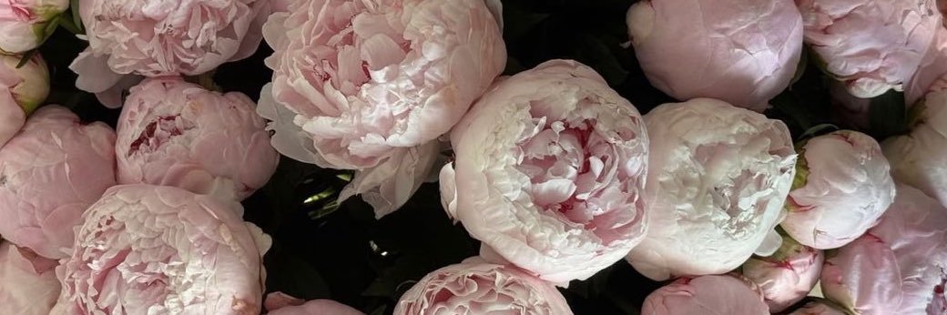 ⚘ banner