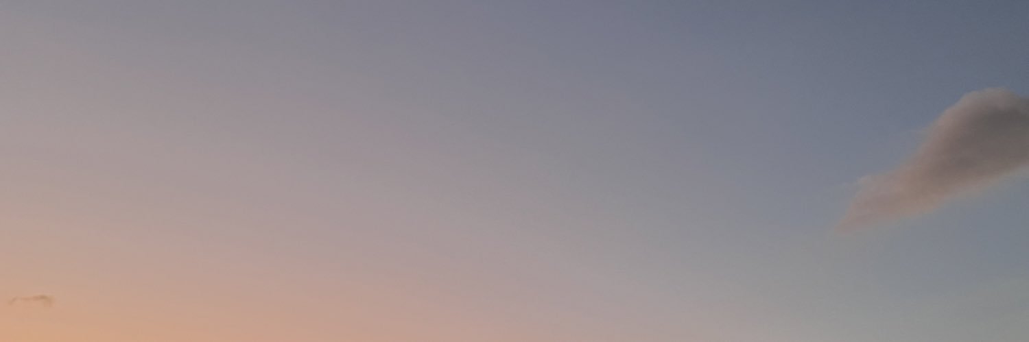 Santiago Dussán López banner