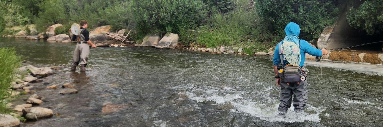 Ryan Chichirico banner