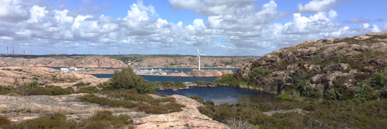 Noa Cortinez Samenius banner