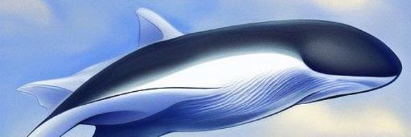 CryptoGeekxD Profile Banner