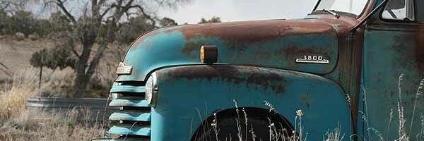 Tracy Manaster banner