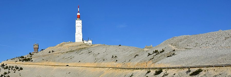 Mark Cartigny banner
