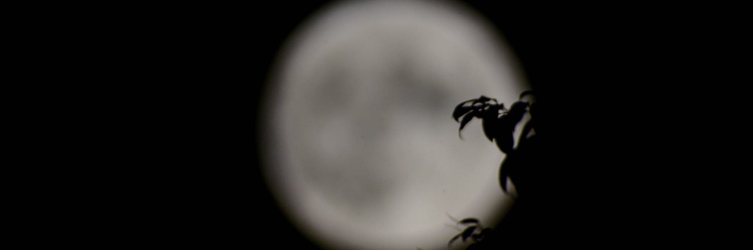 castboundpopoff's profile banner image