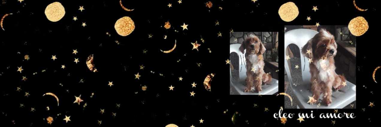 RhizaPayne's profile banner image