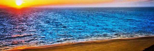 Javier Figueiredo C. 🔻🌻💜🍉 banner