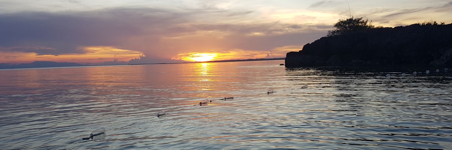 🐚AltExplorer465🌐 banner