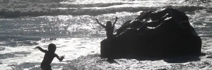 Blair Shinner banner