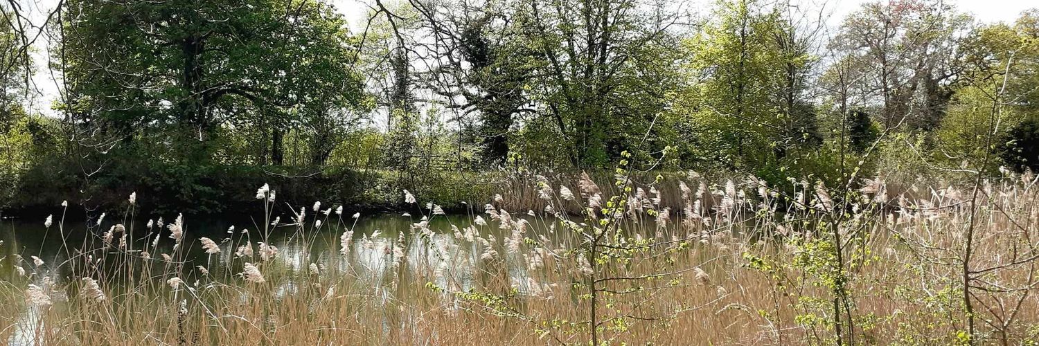 Jane Spencer-Rolfe banner