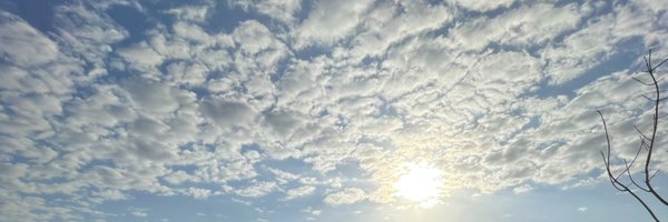 BryceNwokoFB Profile Banner