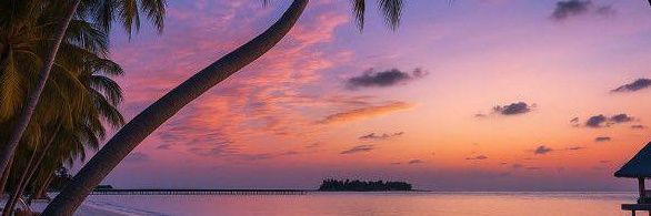 Crypto&Life Lounge banner