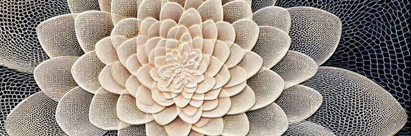 pinedegen Profile Banner