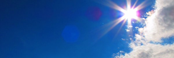 sugimoto_t Profile Banner